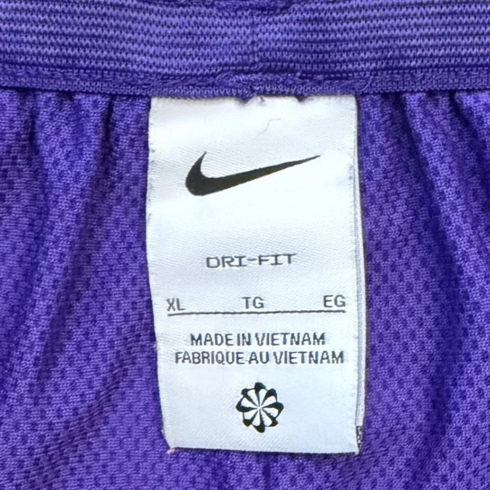 Nike LSU Tigers Dri-FIT Mesh Performance Shorts Mens XL Purple NWOT DZ7937-547